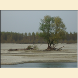 Il Parco Fluviale del Po