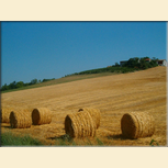 The Monferrato